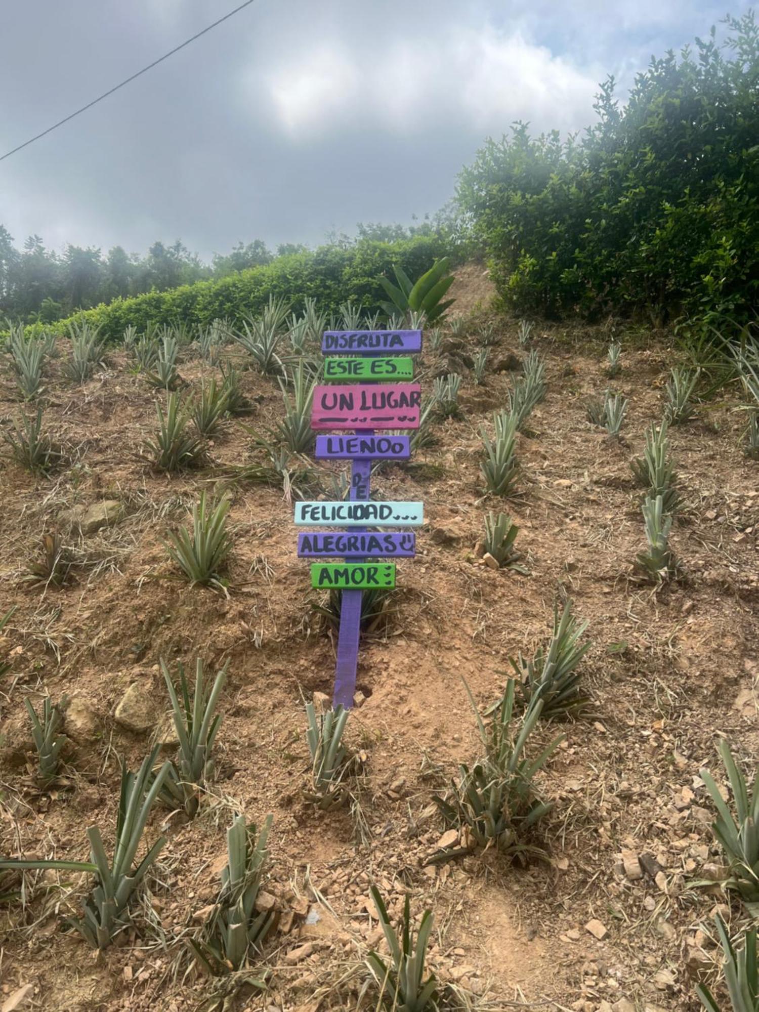 Finca Don Matias Мелгар Екстериор снимка